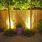 Schutting in avondlicht