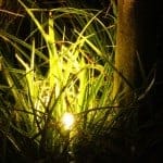 Spot in tuin bij avondlicht